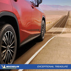 255/40R19XL 100V