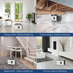 ALORAIR Crawl Space/Basement Dehumidifier 70 Pint Dehumidifier with Drain Hose