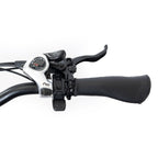 SILVERADO 20 48V/14AH 750W Foldable Fat Tire Electric Trike, 330LBS (96817362)