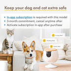 360° Cat Camera: See Your Cat from Anywhere | Rotating 360° Cat Tracking, Treat Toss, Color HD Night Vision, 2-Way Audio, Real-Time Notifications, Designed for Cats | Pet Camera w/Phone App