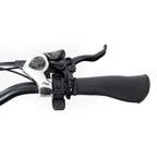 SILVERADO 20 48V/14AH 750W Foldable Fat Tire Electric Trike, 330LBS (96817362)