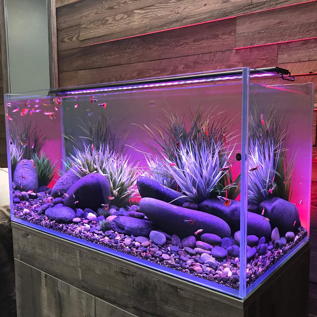 72" Inch Serene Aquarium Visual and Audio Aquatic Experience Kit with LED Aquarium Light, LED Background Light, Frosted Background Film & Speaker for Fish Tank (4028)